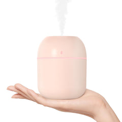 Portable Mini Humidifier 220ml