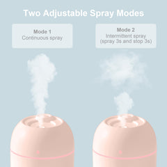 Portable Mini Humidifier 220ml