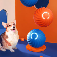 Pet Rubber Ball Toys