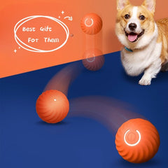 Pet Rubber Ball Toys