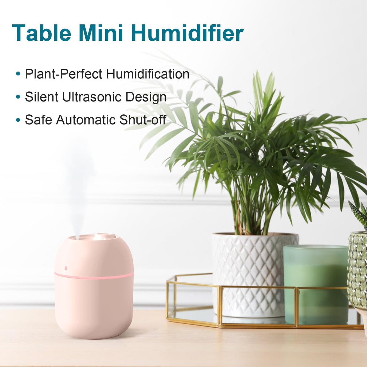 Portable Mini Humidifier 220ml