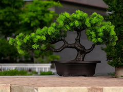 27cm Artificial Pine Plants Bonsai Fake Tree Ornaments Plastic Plants Landscape Simulation Tree for Home Room Desktop Decoration